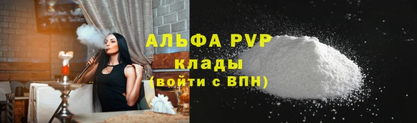 тгк Ельня