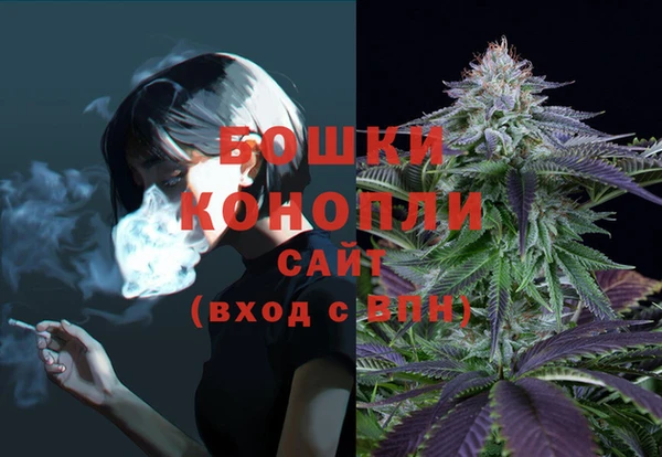 соль курить ск Елизово