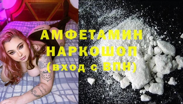 тгк Ельня