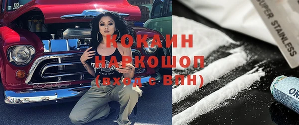 тгк Ельня