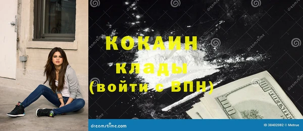 тгк Ельня